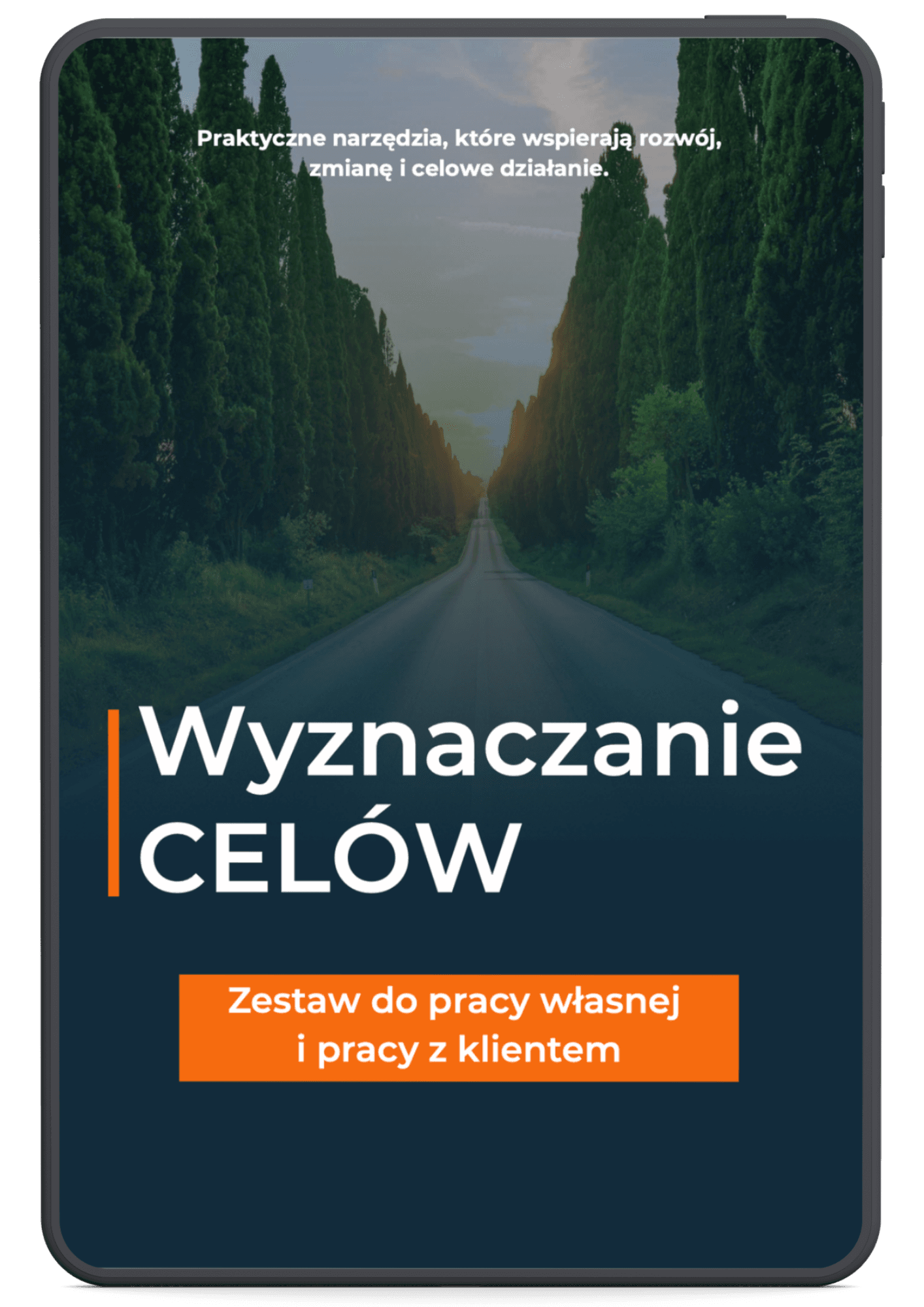 Okładka: Wyznaczanie celów dla siebie i klienta