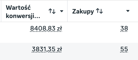 Wyniki sprzedaży kampanii reklamowej Meta Ads — zrzut ekranu 1
