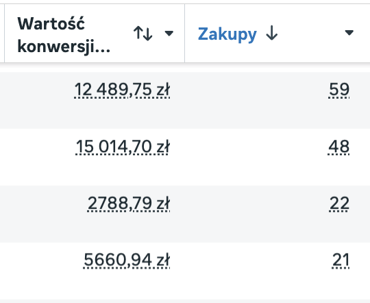 Wyniki sprzedaży kampanii reklamowej Meta Ads — zrzut ekranu 3