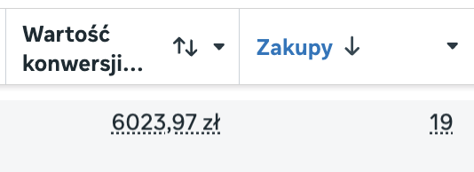 Wyniki sprzedaży kampanii reklamowej Meta Ads — zrzut ekranu 7