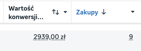 Wyniki sprzedaży kampanii reklamowej Meta Ads — zrzut ekranu 5