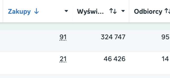 Wyniki sprzedaży kampanii reklamowej Meta Ads — zrzut ekranu 2