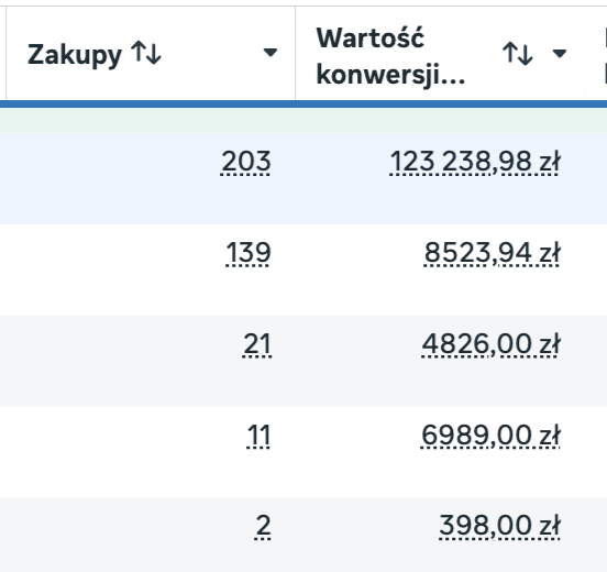 Wyniki sprzedaży kampanii reklamowej Meta Ads — zrzut ekranu 8